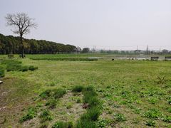 -嘉北郊野公园