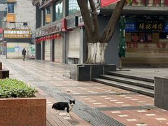 -八一好吃街·高品美食广场