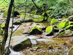 -本溪汤沟绿石谷森林公园