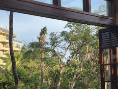 -亚龙湾喜来登·美景台大堂吧