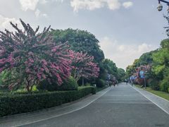 -杭州城北体育公园