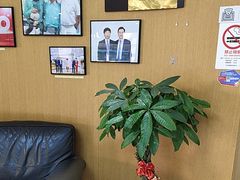 -雅悦齿科(顾村公园店)