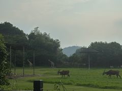 -宁波野生动物园