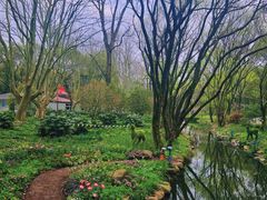 -上海共青森林公园