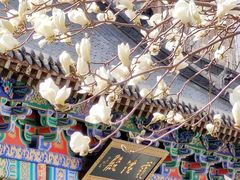 -护国法轮寺