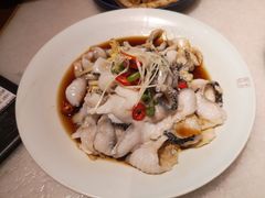 藤椒油浸黑鱼片-小吊梨汤·北京菜·烤鸭(鸟巢店)