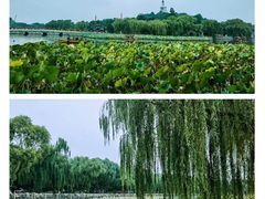 -北海公园