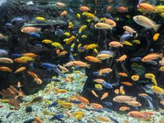 -太平洋海底世界