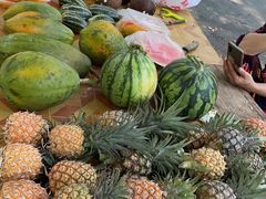 -西双版纳傣族园