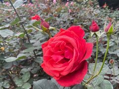 -人民公园(罗湖区)