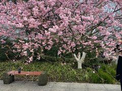 -南山植物园