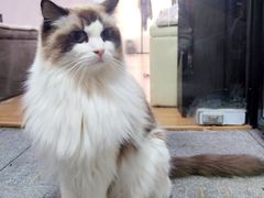 -零纪元VR体验馆·桌游(黄浦店)