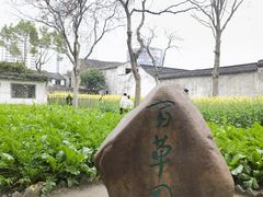 -绍兴鲁迅故里·沈园景区