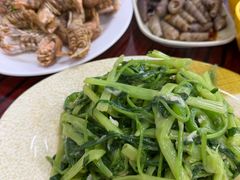 -贞姨美食·老字号海鲜大排档
