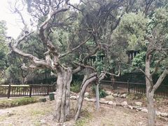 -草庵摩尼教遗址公园