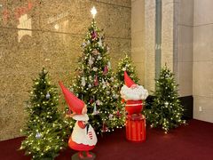 -乐天免税店(明洞店)