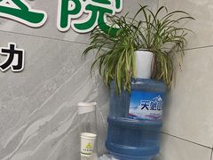 -半岛宠物医院24小时(白果林店)