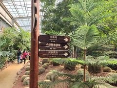 -呀路古热带植物园