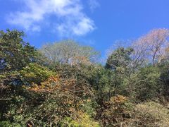 -毛里求斯小四川餐厅总店
