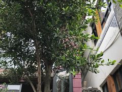 -大理岛·精品云南菜·音乐餐厅