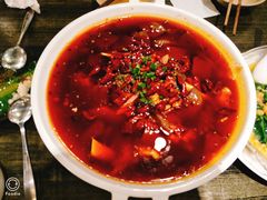 毛血旺-庆合府重庆大排档(紫都城店)