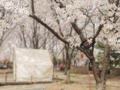 -古柏渡飞黄旅游区