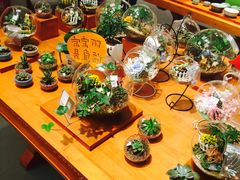 -矢量咖啡(万象汇店)