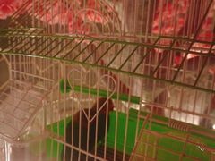 -蓝鲸湾汤泉(包河店)