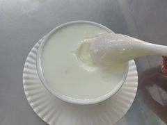 -义顺牛奶公司(新马路老店)