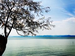 -捞渔河湿地公园