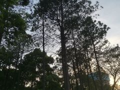 -美兰湖景区