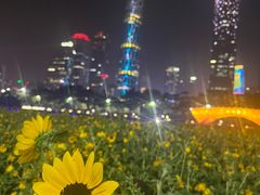 -广州塔