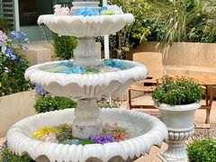 -苏小糖(鼓浪屿三丘田花园店)