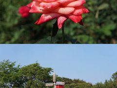 -东莞植物园