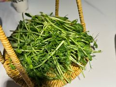 -椰子湾·海南火锅·糟粕醋·椰子鸡(正大广场店)