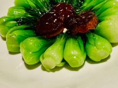 菜心炒香菇-福玺荟(外滩罗斯福店)