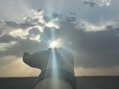 -敦煌雅丹国家地质公园