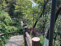 -重庆平顶山公园