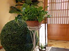 -汤泉良子(金源店)