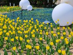 -长春公园(普阳街道)