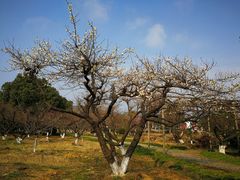 -白马涧龙池景区