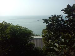 -放鸡岛生态旅游国际度假区