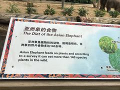 -大象剧场