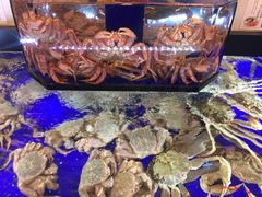 -蟹道乐(道顿堀本店)