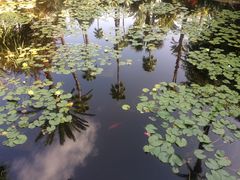 -马洛雷勒花园
