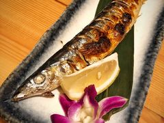 烤秋刀鱼-百万叔