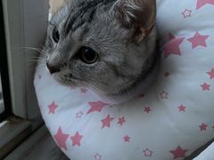 -美联众合24小时·皮肤科·外科·全科诊疗中心(华苑分院)