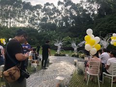 -南宁荔园维景国际酒店·荔园中餐厅