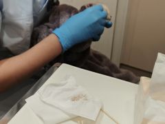 -立德动物医院·24小时中心(番禺区院区)