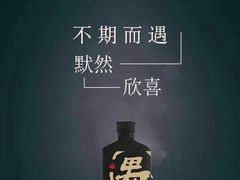 偶遇小酒-姐弟小东北·铁锅炖
